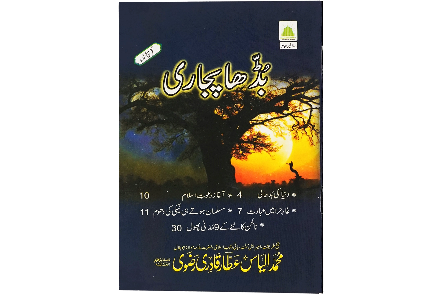 Bhudda Pujari - Large