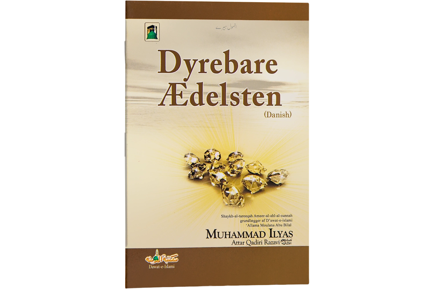 Anmol Heray - Danish