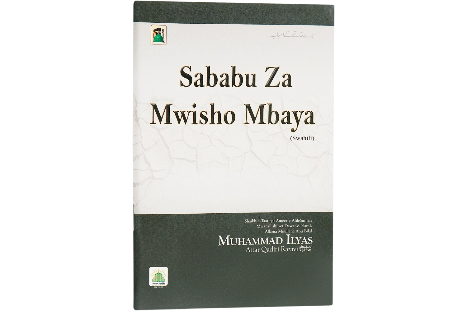 Bure Khatimay Kay Asbab - Swahili