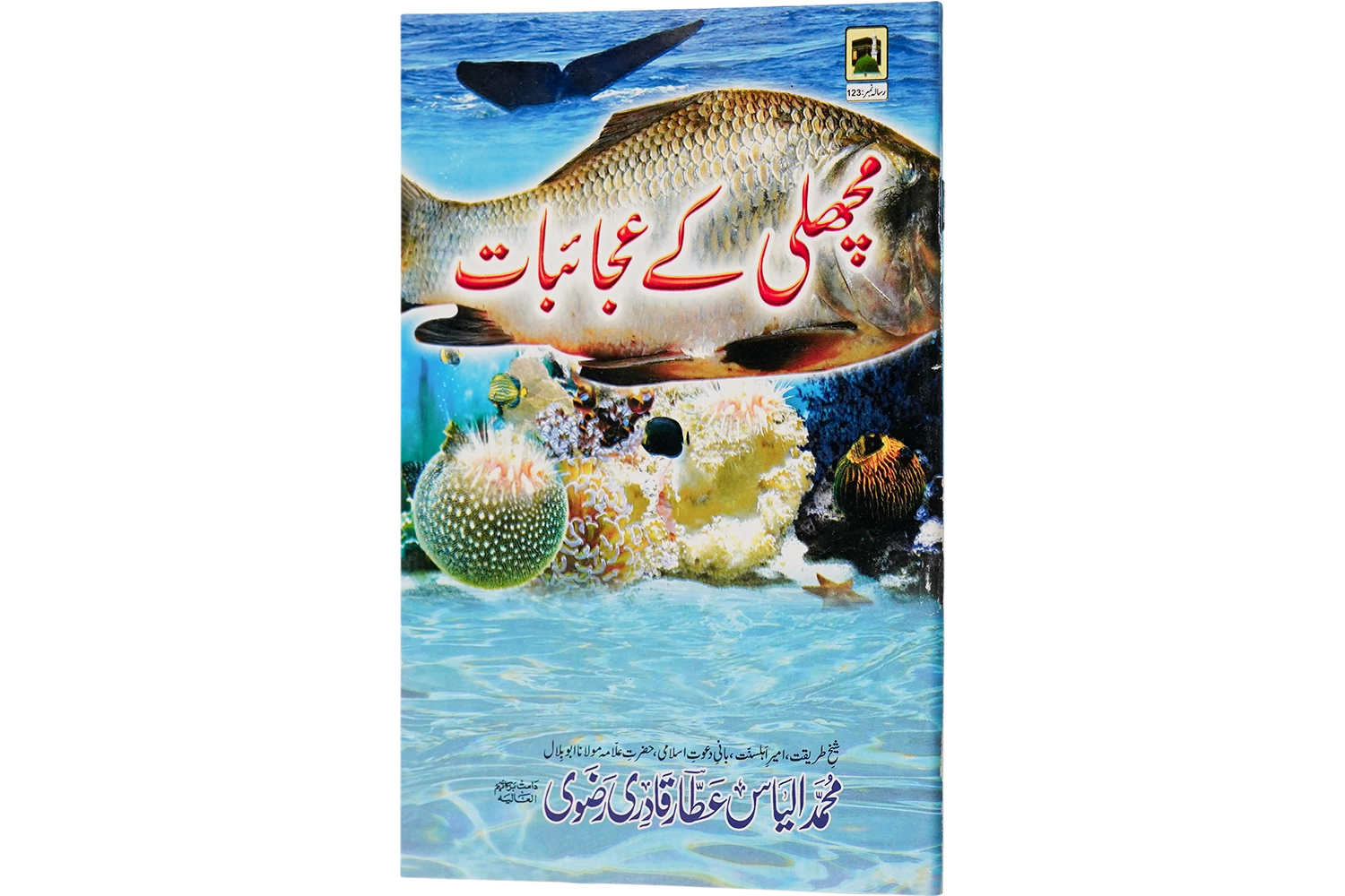 Machli Ke Ajaibat - Large