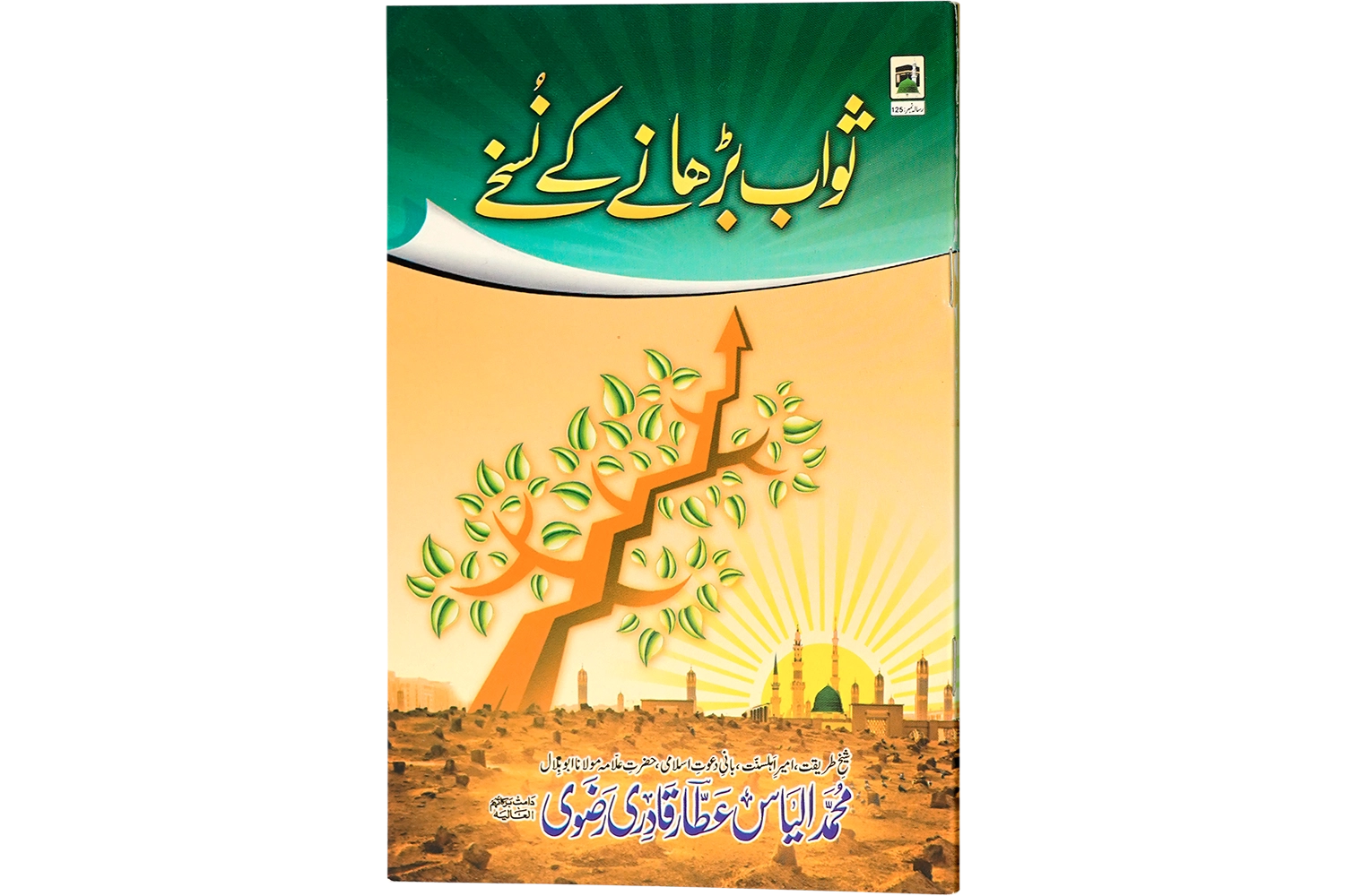 Sawab Barhanay Kay Nuskhay - Large