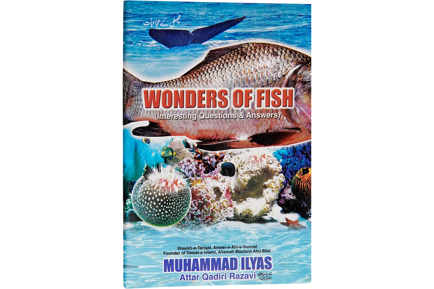 Machli Ke Ajaibat - English