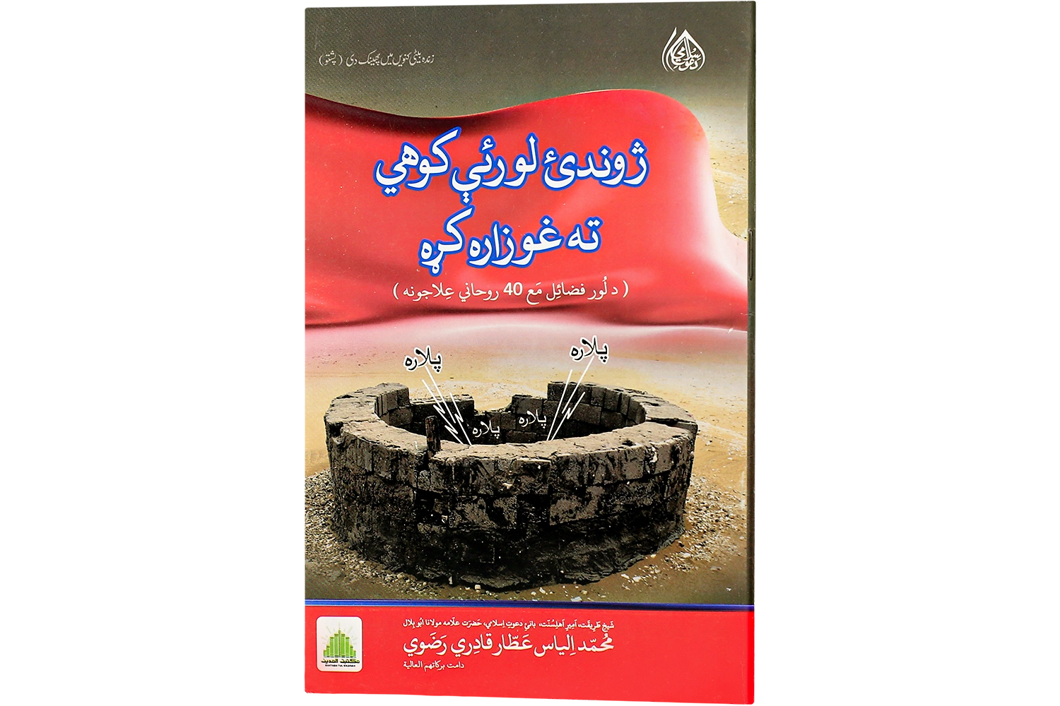 Zinda Beti Kunwain Main Phaink Di - Pashto