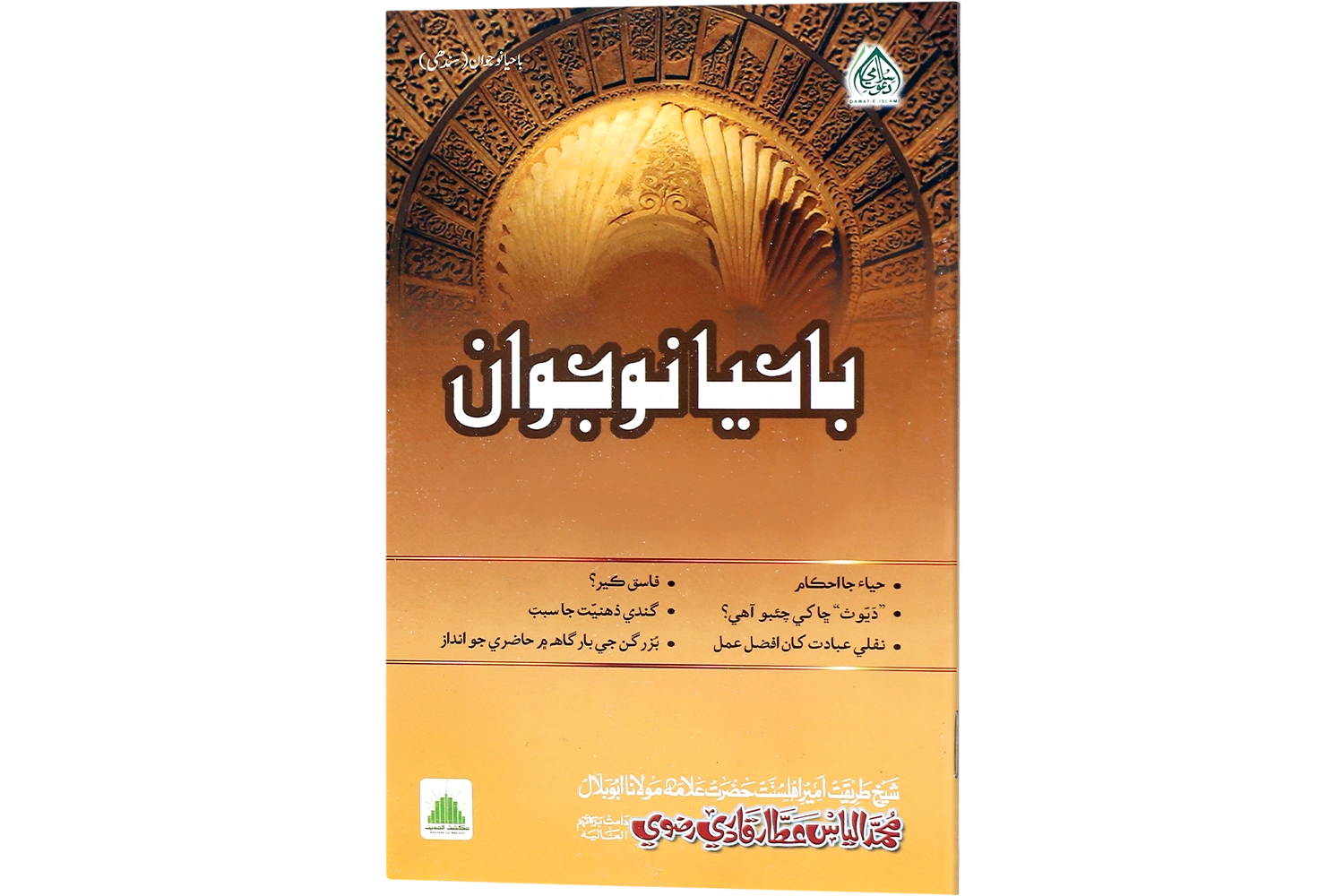 Bahaya Nojavan - Sindhi