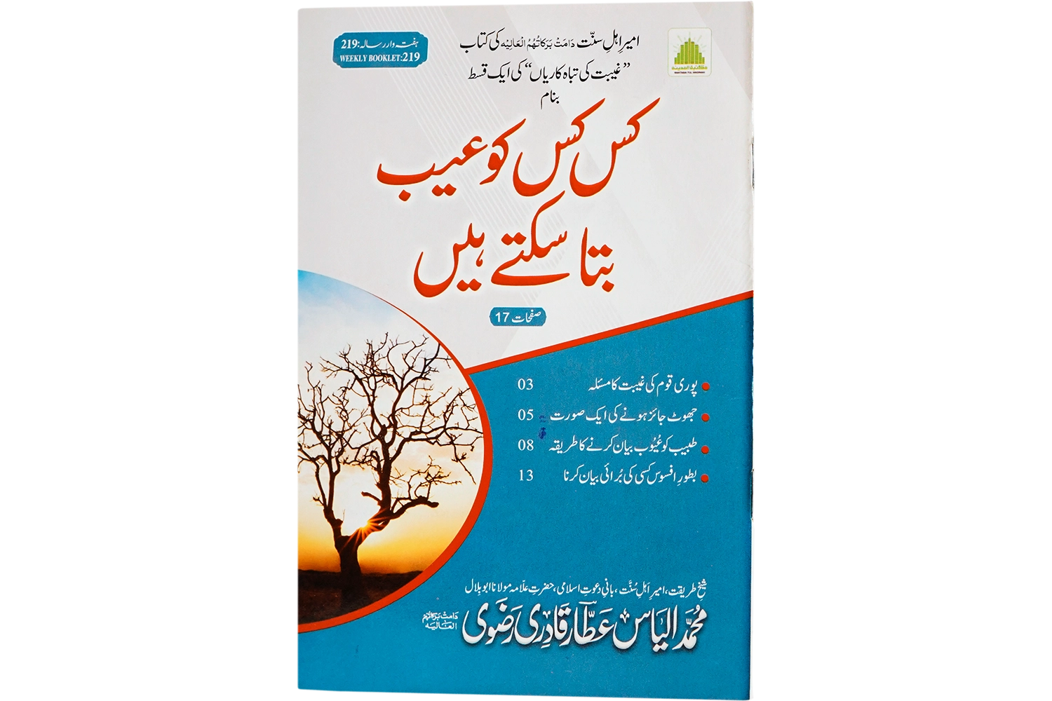 Kis Kis Ko Aib Bata Sakty Hen