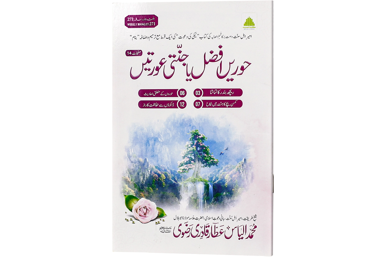 Hurain Afzal Ya Jannati Aurtain